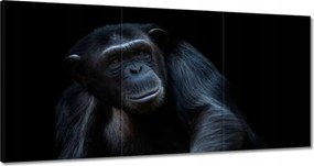 Festmények 180x90 Egy erős csimpánz portréja