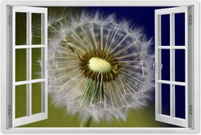 Poszterek 60x40 Pitypang Virág Virágok