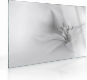 Üveg kép - Delicate Lily (70x50 cm)