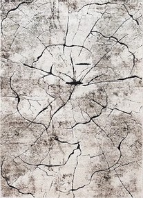 Szőnyeg 280x370 Bézs Fatörzs Legvastagabb (3x4)