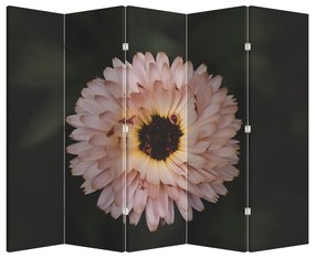 Paraván - Narancsságra virág (210x170 cm)