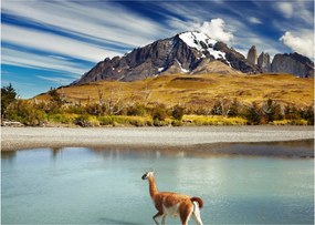 Kép - Torres del Paine Nemzeti Park (70x50 cm)