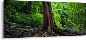 Kép - Öreg fa gyökere (120x50 cm)