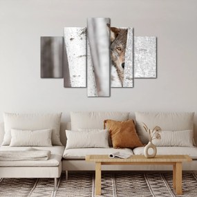 Kép - Farkas (150x105 cm)