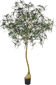 Pottery Pots Realisztikus műfa Queensland palackfa, több méretben - PotteryPots méret: XL - ø 80 cm | m. 240 cm