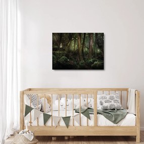 Kép - Titokzatos erdő (üvegen) (70x50 cm)
