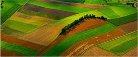 Kép - Mezők, rétek (120x50 cm)