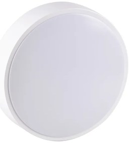 LED Fürdőszobai mennyezeti lámpa RENE LED/15W/230V IP44 fehér