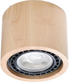 Sollux Lighting Basic mennyezeti lámpa 1x40 W fa SL.0913