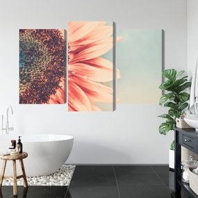 Virágszirmok vászonkép - 150x100 cm