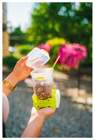 Kétrészes zöld ételes doboz evőeszközökkel, 650 ml + 230 ml - Vialli Design