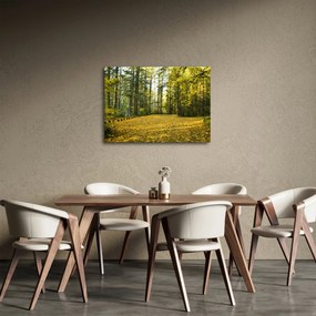 Kép - erdő ősszel (70x50 cm)