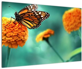 Egy pillangó képe (90x60 cm)