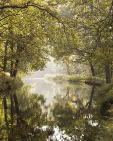 Poszter 40x50cm Csatorna Basingstoke 2, Assaf Frank