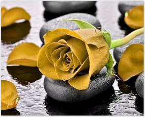 Poszterek 50x40 Sárga rózsa köveken