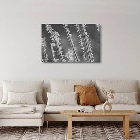 Kép - Fagyos hideg (90x60 cm)