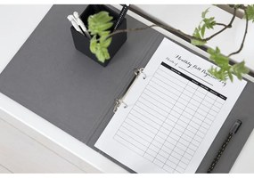 Karton rendszerező dokumentumokhoz Ringo – Bigso Box of Sweden