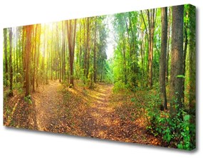 Canvas kép Sun-erdő Természetvédelmi Path 100x50 cm