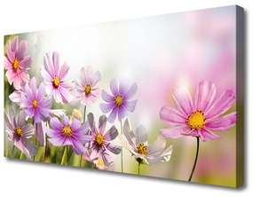 Canvas kép Virág növény természet 120x60 cm