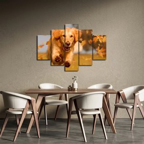 Kép - Golden Retriever (150x105 cm)