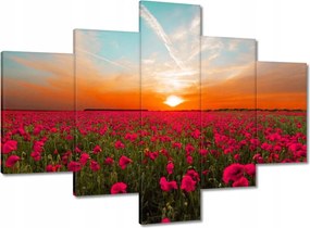 Vászonkép 100x70 Rózsaszín pipacsok Naplemente