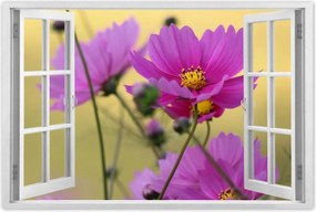 Poszterek 90x60 Virágok a réten