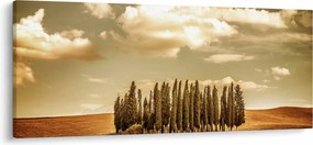 A Tisztás képe (120x50 cm)