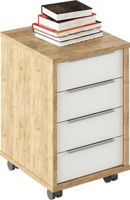 Konténer, artisan tölgy/fehér, RIOMA TYP 14