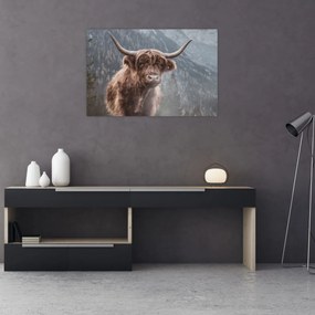 Kép - Highlander tehén (90x60 cm)