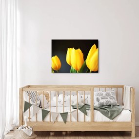 Tulipán képe (70x50 cm)