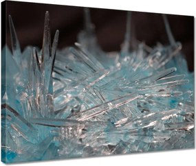 Festmények 40x30 Makrofotó MacroFoto