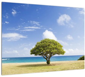Fa a tengerparton (üvegen) (70x50 cm)