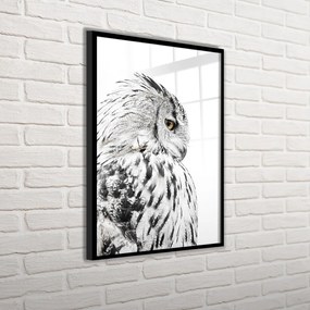 Kép 50x70 cm Owl – Styler