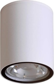 Italux Modern Kültéri spotlámpa Fano Fehér ITXOPN-2006-4K IP54
