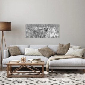 Kép - Róka, fekete, fehér (120x50 cm)