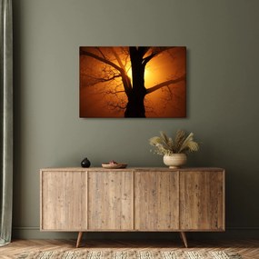 Kép egy fáról naplementekor (90x60 cm)