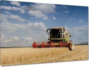 Képek 120x80 Kombájn az aratás során