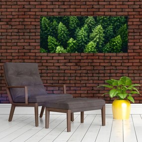 Kép - Forest (120x50 cm)