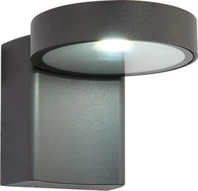 ENDON 67695 ORETI Modern Kültéri Fali Lámpa Antracit, Átlátszó LED IP44