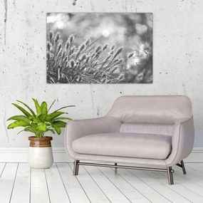 Kép - Bézs színű puha fű N⁰1 (90x60 cm)