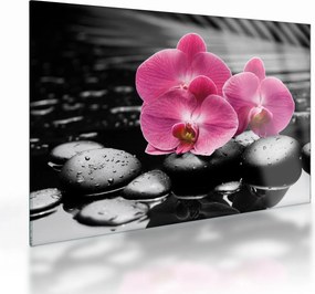 Üveg kép - Rózsaszín orchideák (70x50 cm)