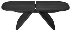 Fekete tölgyfa dohányzóasztal 54x100 cm Avio – Blomus