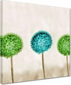 Vászonkép 30x30 Lime pitypangok