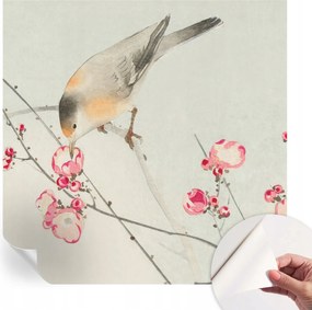 Dekoratív öntapadós fotótapéta Hálószobába Virágos madár 250x250 cm