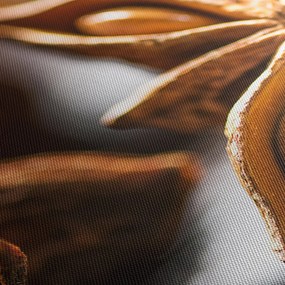 Kép - Anise (150x105 cm)