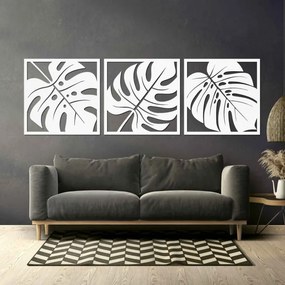 Természetes monstera faldekoráció | SELERE