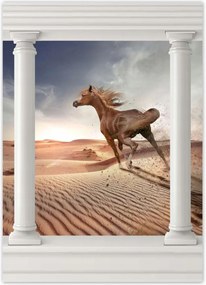 Poszterek 50x70 Galoppozó ló