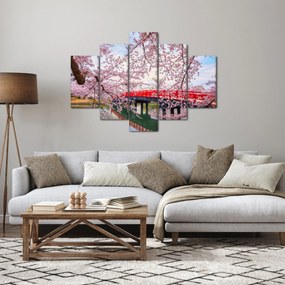 Kép - Hirosaki, Japán (150x105 cm)