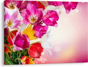 Tulipán képe (70x50 cm)