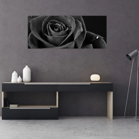 Kép - Bíborvörös rózsa (120x50 cm)
